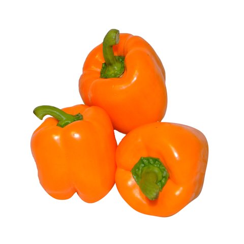 Capsicum Orange