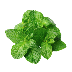 Mint