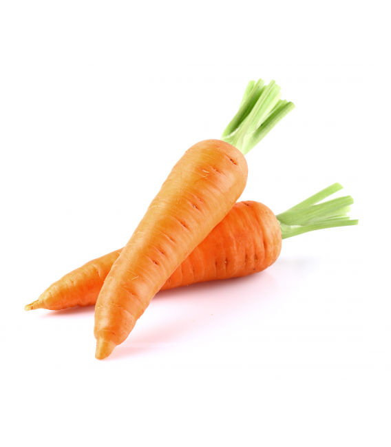 Carrots