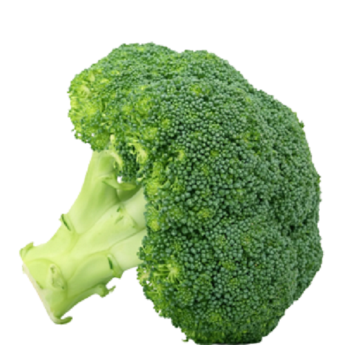 Broccoli