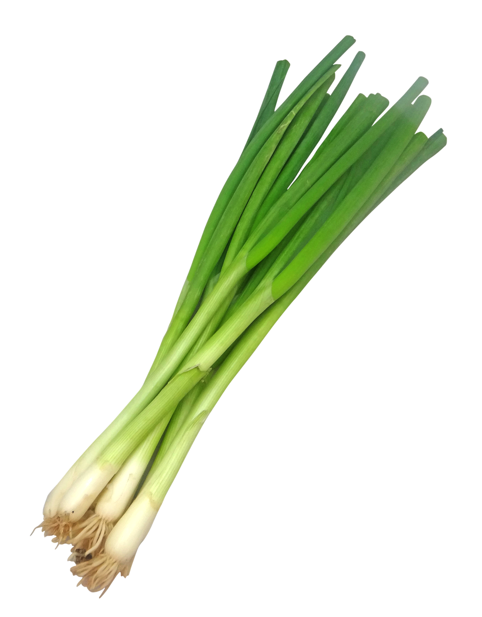 Spring Onion