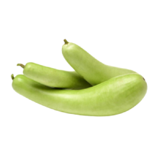 Bottle Gourd (Dudhi)