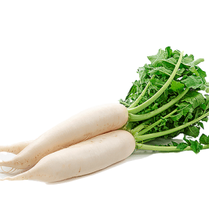 White Radish 