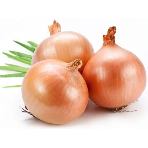 Brown Onion